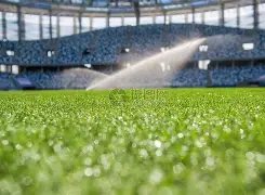 心桥融通,归途相伴,两岸青年携,BIN宝盈集团,bbin游戏,bbin集团,游戏系统商,bbin官网,BBIN