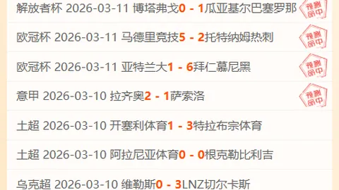 大乐透期号专家推荐：德乙信心比分及数据解析